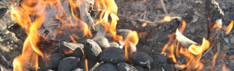 Diferencias y usos del el carbón vegetal y del carbón mineral