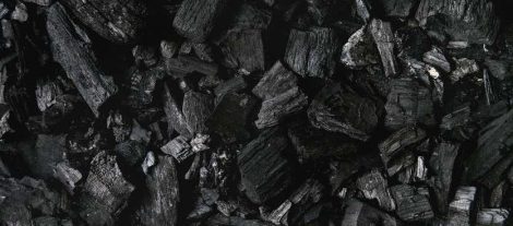Carbón Vegetal